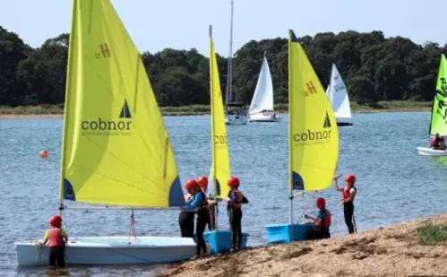 Cobnor image